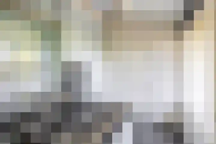 Dompvloedslaan 126 Overveen thumbnail 16