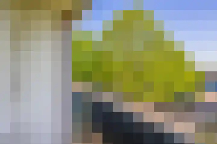 Dompvloedslaan 126 Overveen thumbnail 17
