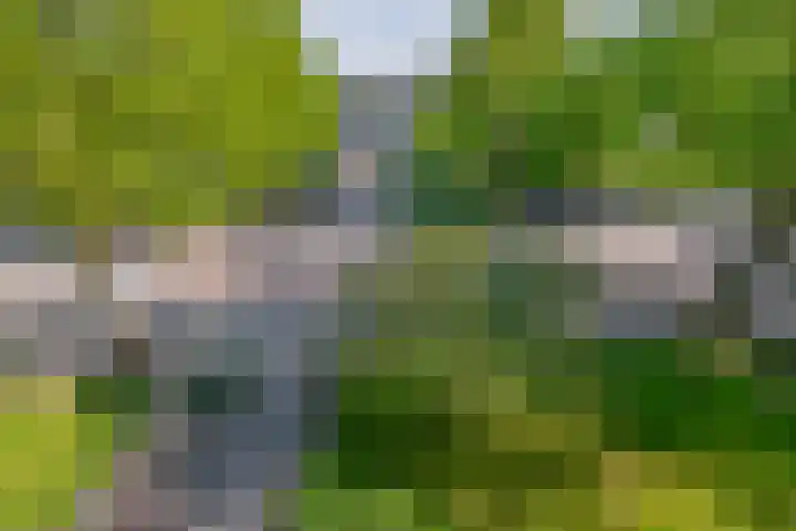 Dompvloedslaan 126 Overveen thumbnail 18