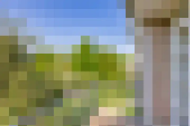 Dompvloedslaan 126 Overveen thumbnail 19