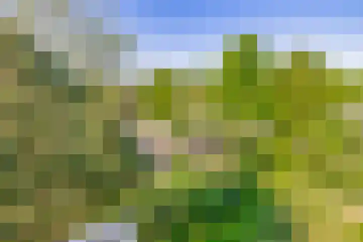 Dompvloedslaan 126 Overveen thumbnail 20