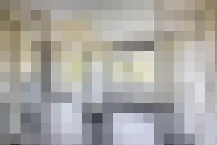 Dompvloedslaan 126 Overveen thumbnail 21