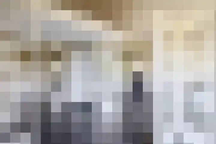 Dompvloedslaan 126 Overveen thumbnail 22