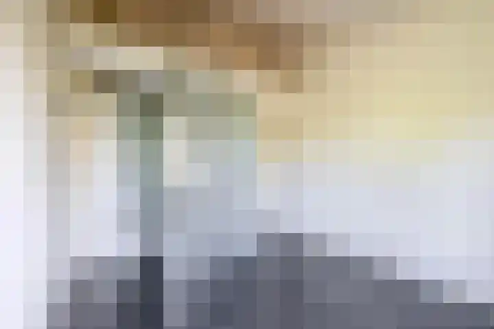Dompvloedslaan 126 Overveen thumbnail 24