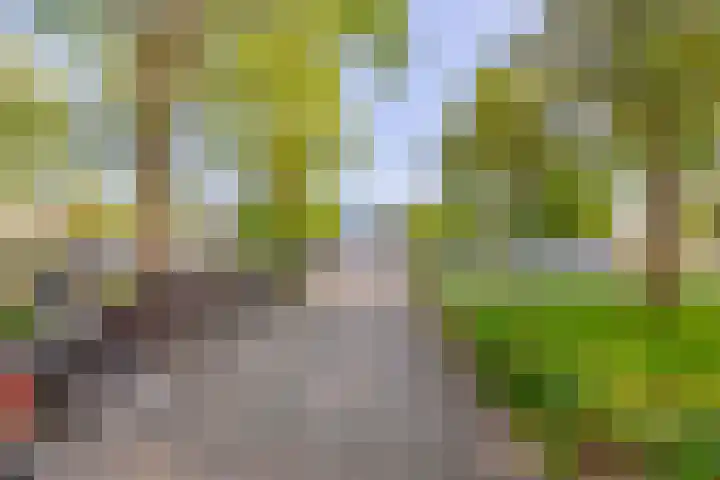 Dompvloedslaan 126 Overveen thumbnail 28