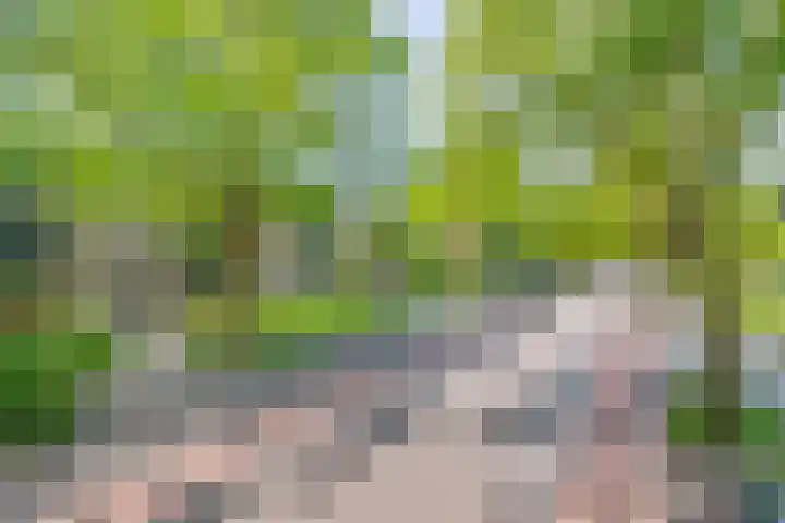 Dompvloedslaan 126 Overveen thumbnail 29