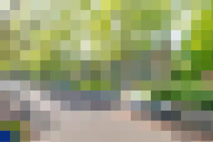 Dompvloedslaan 126 Overveen thumbnail 30