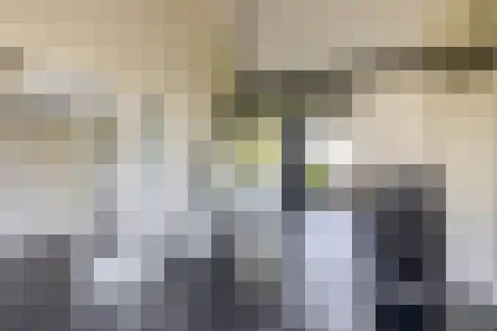 Dompvloedslaan 126 Overveen thumbnail 9
