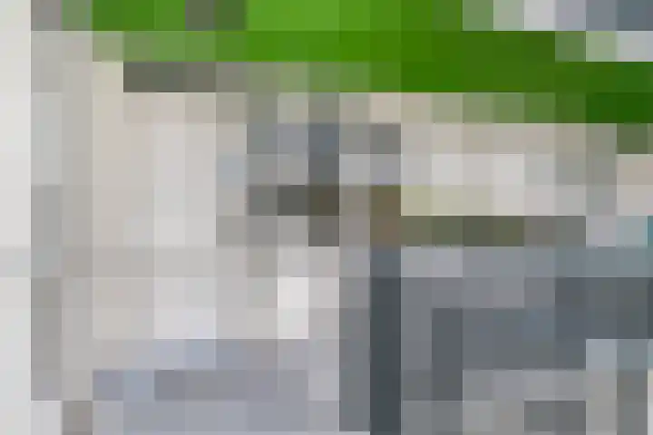 Dompvloedslaan 13 d Overveen thumbnail 12