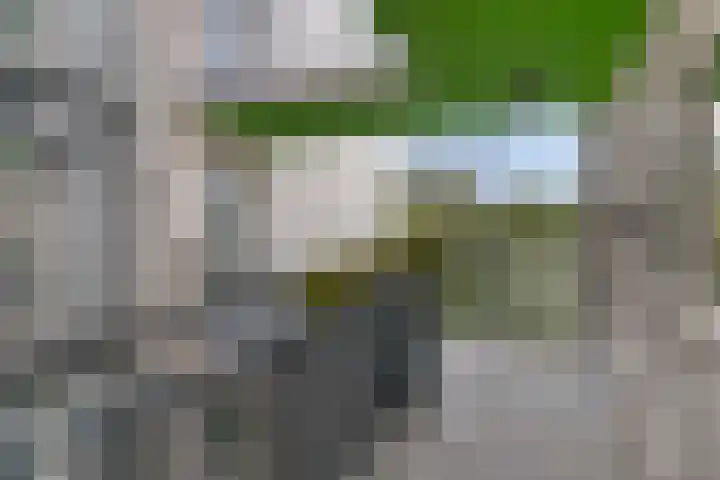 Dompvloedslaan 13 d Overveen thumbnail 13