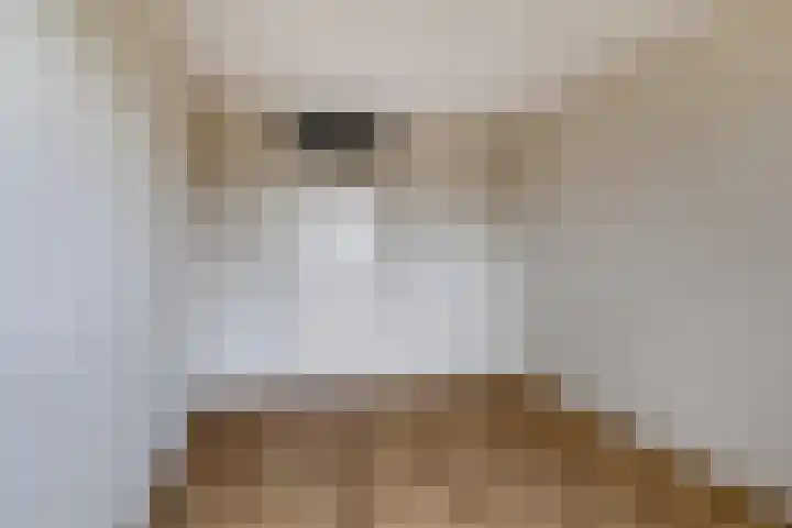 Dompvloedslaan 13 d Overveen thumbnail 17