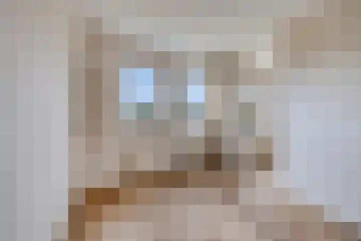Dompvloedslaan 13 d Overveen thumbnail 18
