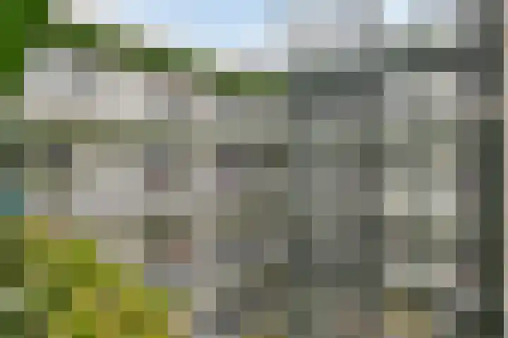 Dompvloedslaan 13 d Overveen thumbnail 20