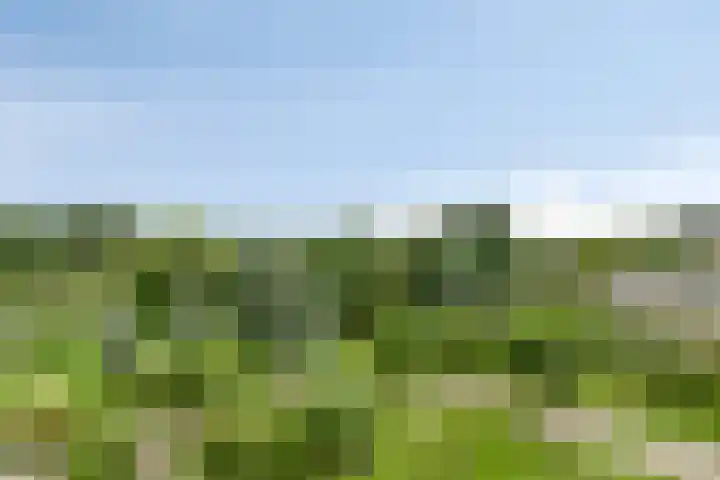 Dompvloedslaan 13 d Overveen thumbnail 24