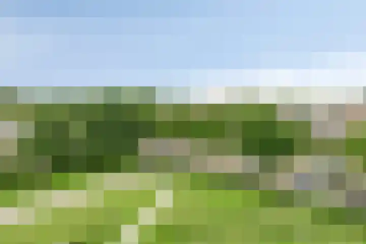 Dompvloedslaan 13 d Overveen thumbnail 25