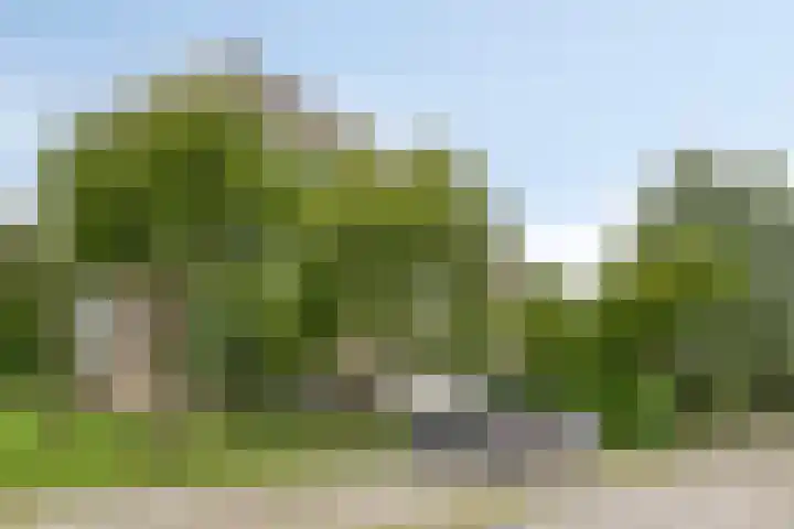 Dompvloedslaan 13 d Overveen thumbnail 26