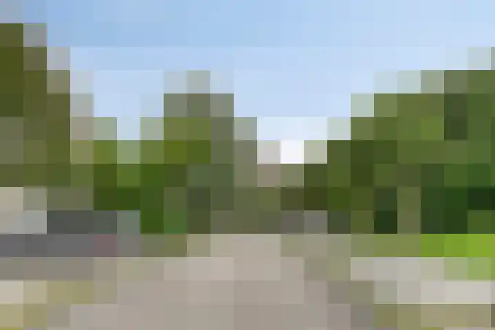 Dompvloedslaan 13 d Overveen thumbnail 27