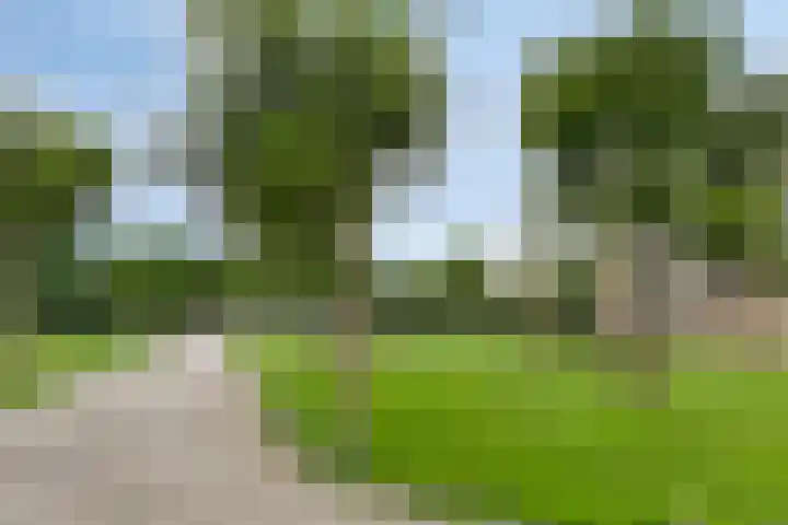 Dompvloedslaan 13 d Overveen thumbnail 28