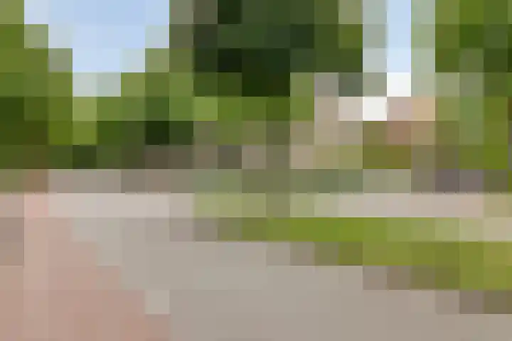 Dompvloedslaan 13 d Overveen thumbnail 31