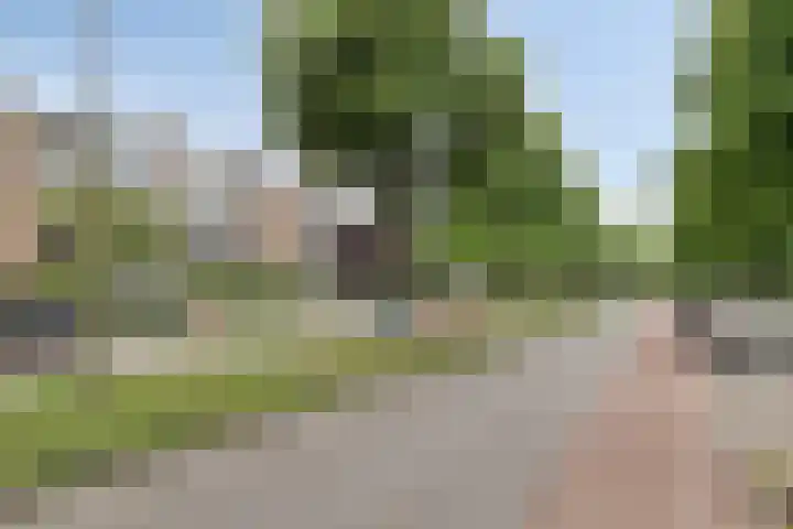 Dompvloedslaan 13 d Overveen thumbnail 32