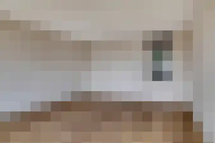 Dompvloedslaan 13 d Overveen thumbnail 5