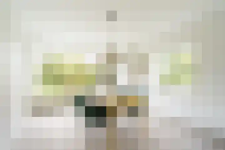 Dompvloedslaan 26 Overveen thumbnail 12