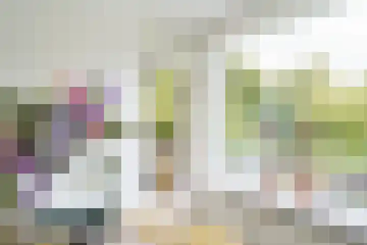 Dompvloedslaan 26 Overveen thumbnail 14