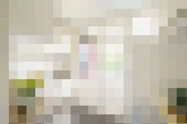 Dompvloedslaan 26 Overveen thumbnail 18