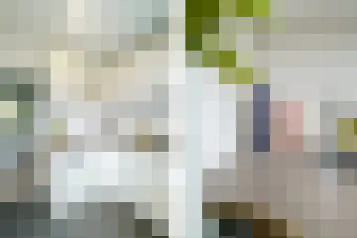 Dompvloedslaan 26 Overveen thumbnail 20