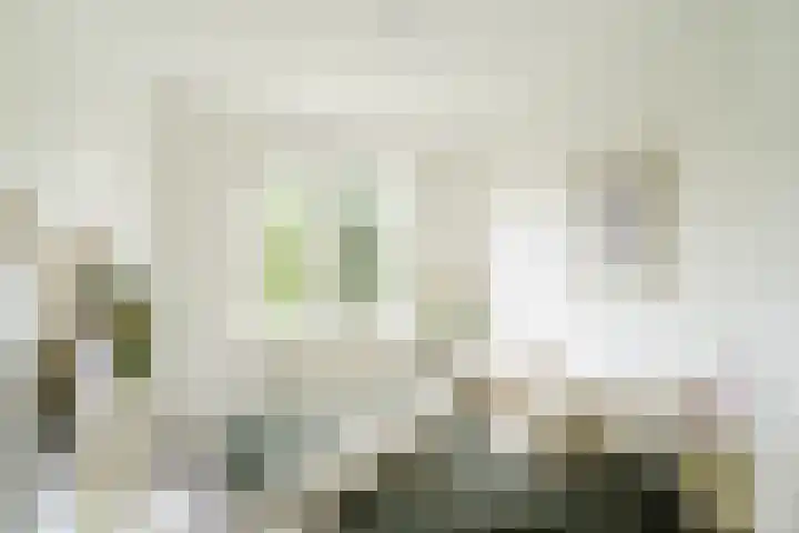 Dompvloedslaan 26 Overveen thumbnail 21
