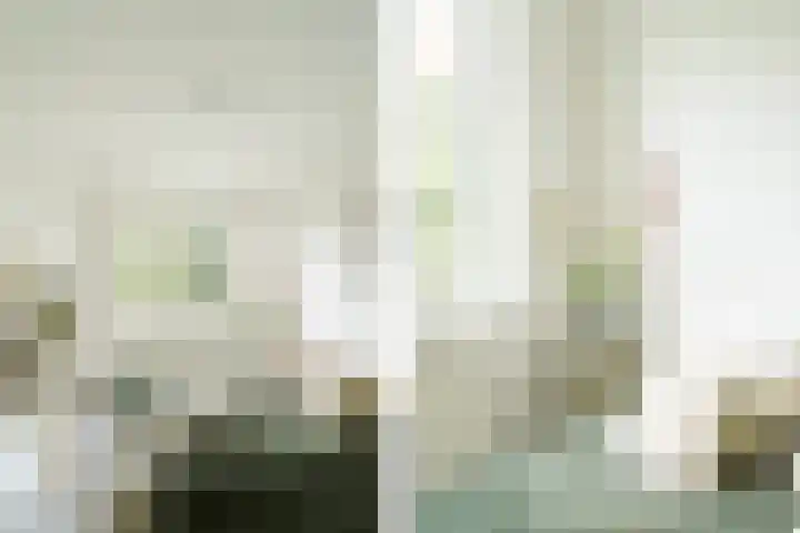 Dompvloedslaan 26 Overveen thumbnail 22
