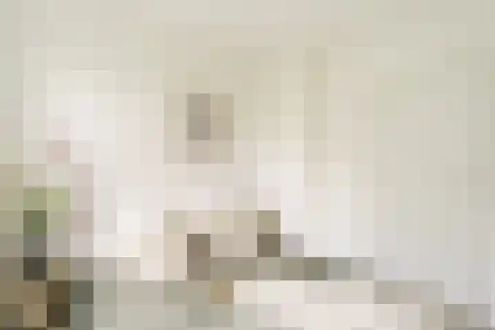 Dompvloedslaan 26 Overveen thumbnail 23