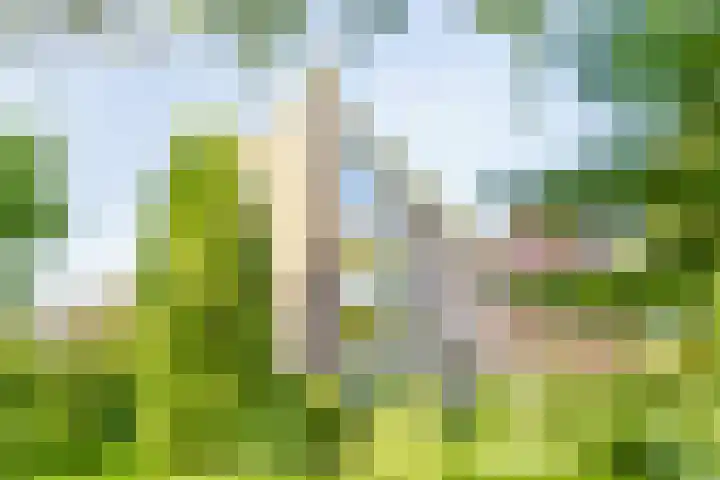 Dompvloedslaan 26 Overveen thumbnail 27