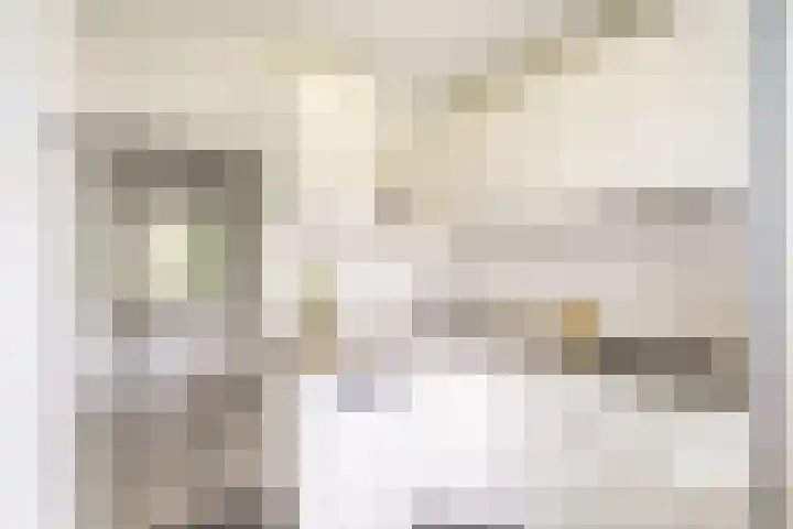 Dompvloedslaan 26 Overveen thumbnail 4