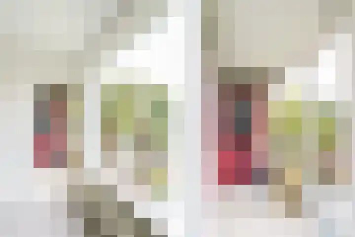 Dompvloedslaan 26 Overveen thumbnail 5