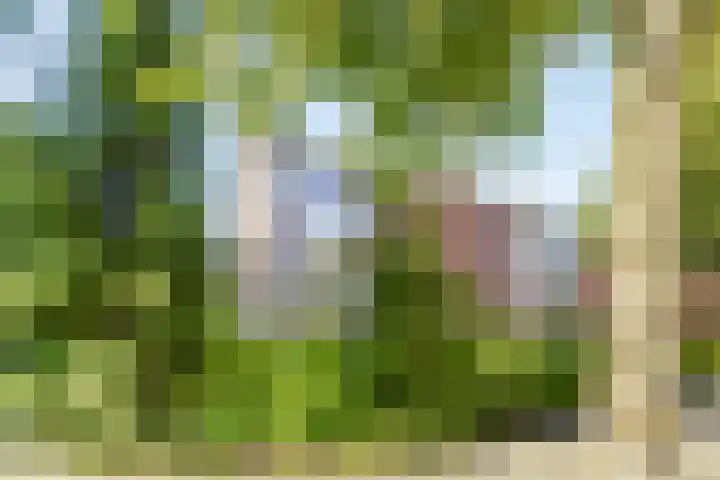 Dompvloedslaan 26 Overveen thumbnail 6