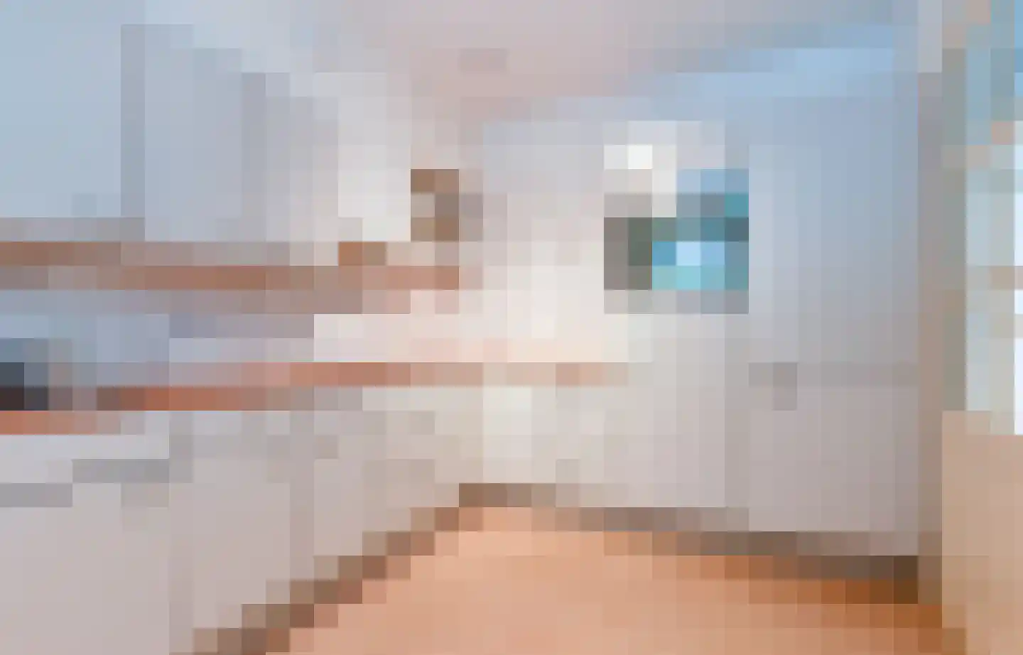 Dompvloedslaan 3 a Overveen thumbnail 14