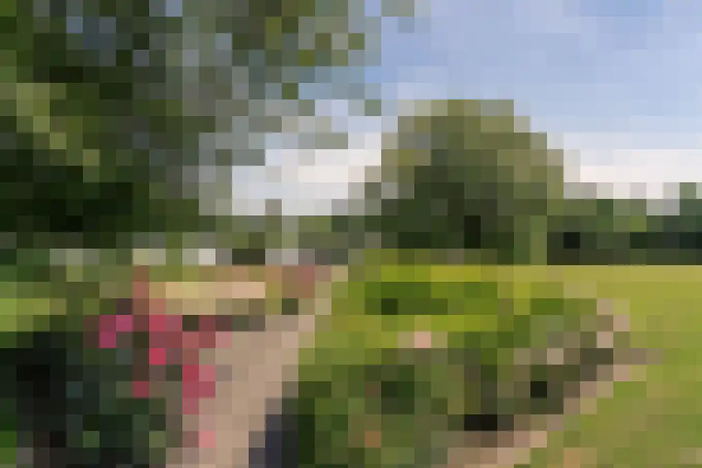 Dompvloedslaan 3 a Overveen thumbnail 27