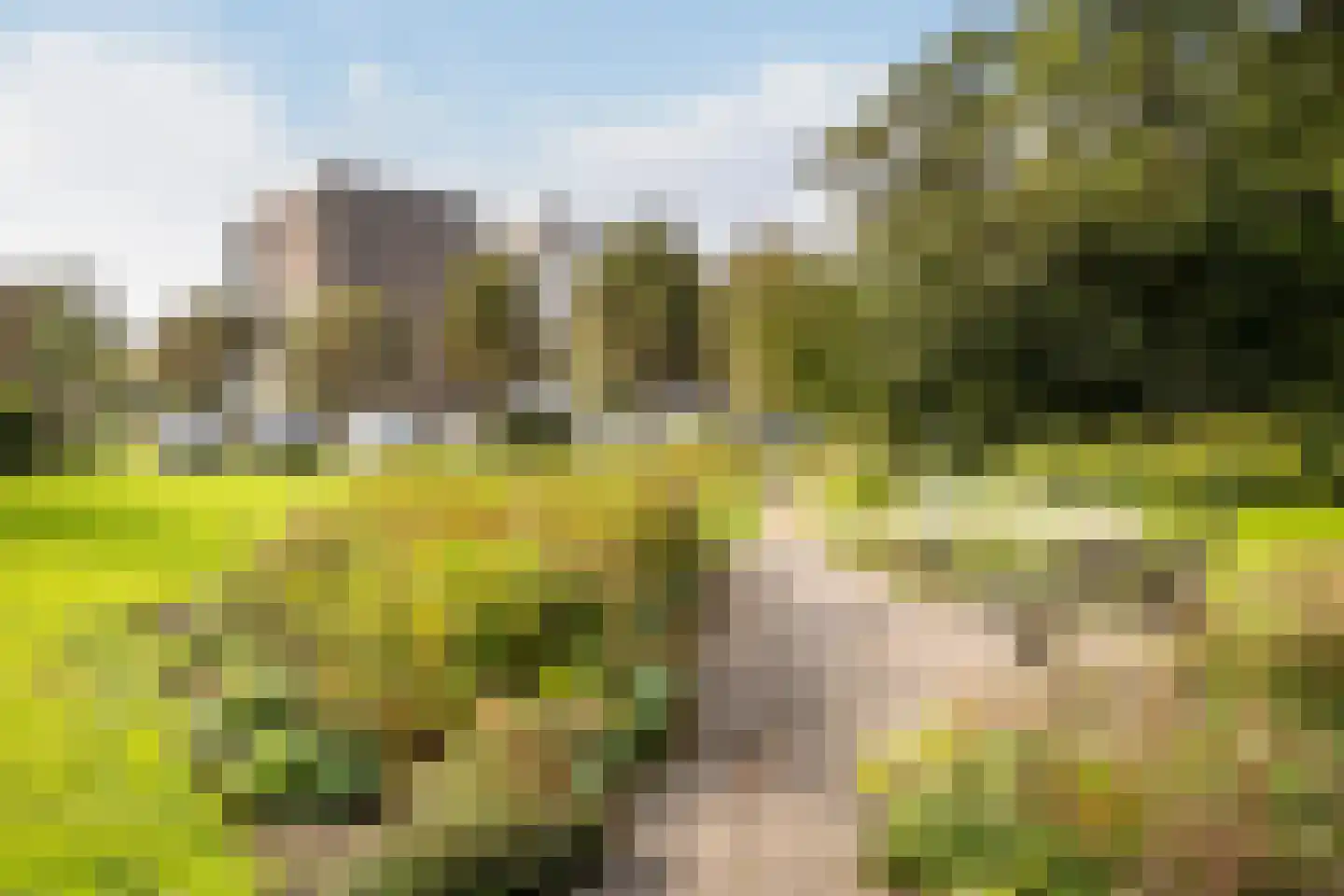 Dompvloedslaan 3 a Overveen thumbnail 28