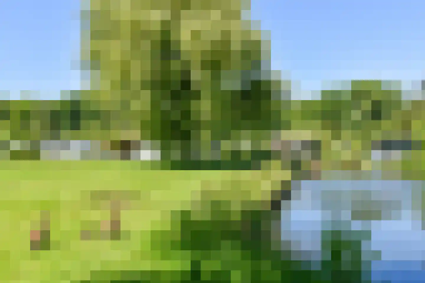 Dompvloedslaan 3 a Overveen thumbnail 33