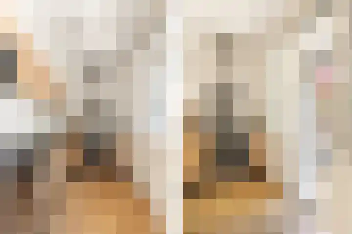 Dompvloedslaan 36 Overveen thumbnail 10