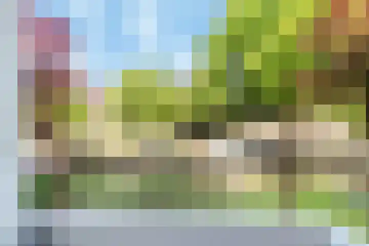 Dompvloedslaan 36 Overveen thumbnail 11
