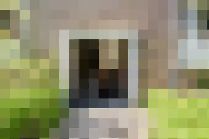 Dompvloedslaan 36 Overveen thumbnail 21