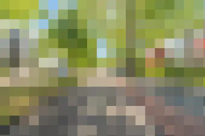 Dompvloedslaan 36 Overveen thumbnail 25