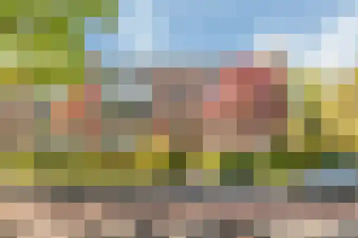 Dompvloedslaan 36 Overveen thumbnail 28