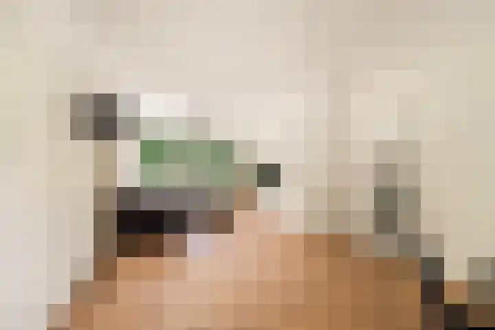 Dompvloedslaan 36 Overveen thumbnail 4
