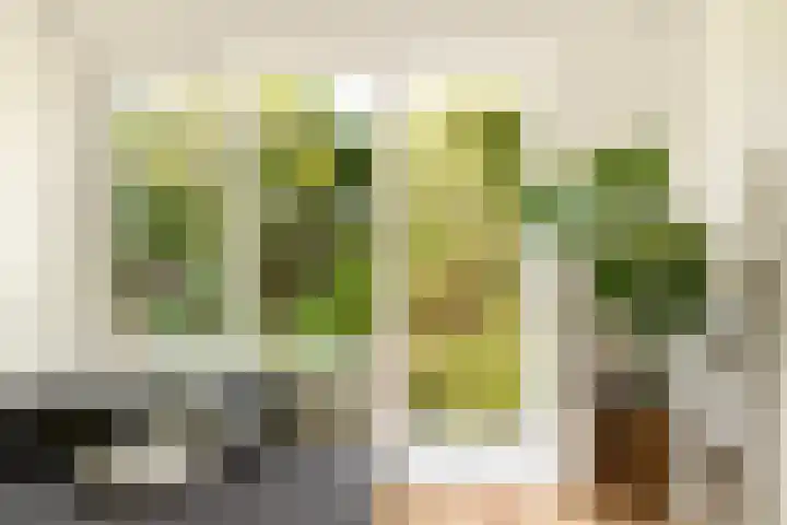 Dompvloedslaan 36 Overveen thumbnail 5