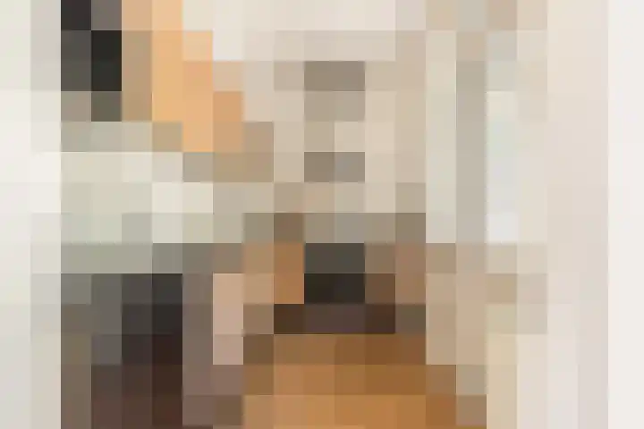 Dompvloedslaan 36 Overveen thumbnail 9