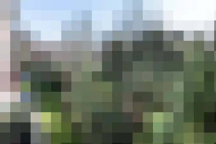 Dompvloedslaan 38 Overveen thumbnail 13