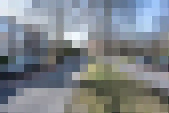 Dompvloedslaan 38 Overveen thumbnail 21